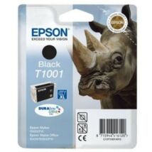 Epson T1001 eredeti tintapatron