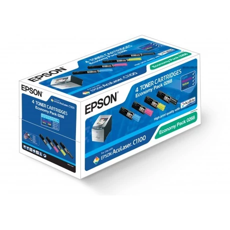 Epson C1100 (S050268) economy pack